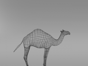 camel 3D Model