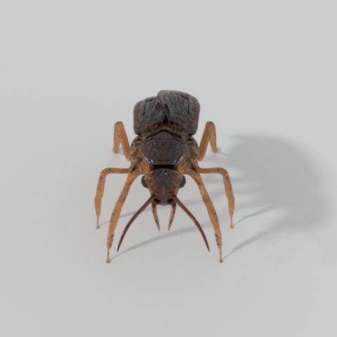 cockroach Modello 3D .c4d .max .obj .3ds .fbx .stl .blend 
