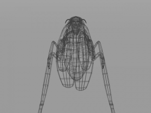 cockroach Modello 3D