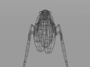 kakkerlak 3D Model