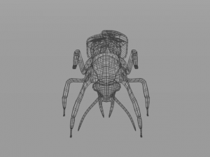 cockroach Modello 3D