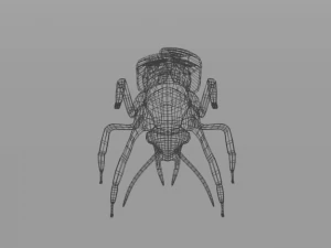 kakkerlak 3D Model