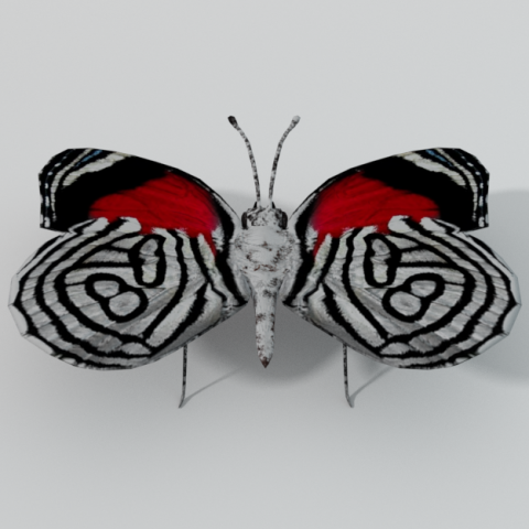 butterfly 89 3D 모델 .c4d .max .obj .3ds .fbx .stl .blend 