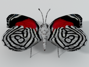butterfly 89 3D Model