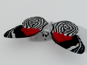butterfly 89 3D 모델
