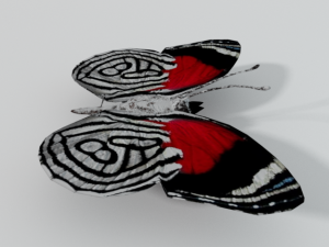 butterfly 89 3D 모델