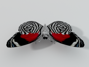 butterfly 89 3D 모델