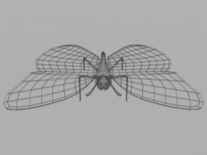butterfly 89 3D 모델