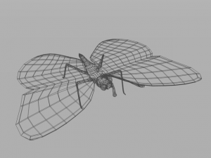 butterfly 89 3D 모델