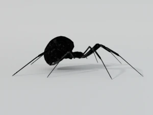 black widow 3D Model