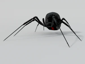 black widow 3D Model