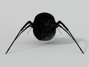 black widow 3D Model