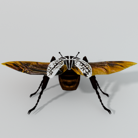 beetle goliath Modelo 3D .c4d .max .obj .3ds .fbx .stl .blend 