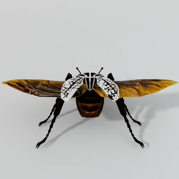 beetle goliath 3D Model .c4d .max .obj .3ds .fbx .stl .blend 