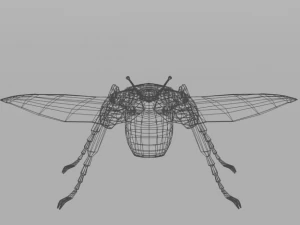 beetle goliath 3D Model