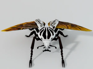 beetle goliath 3D Model