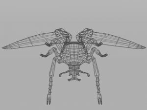 beetle goliath Modelo 3D