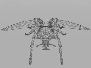 beetle goliath 3D Model