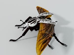 beetle goliath Modelo 3D