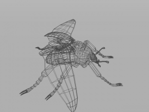 beetle goliath Modelo 3D