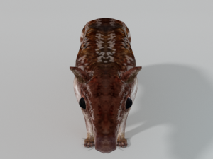 mountain paca - guagua 3D 모델