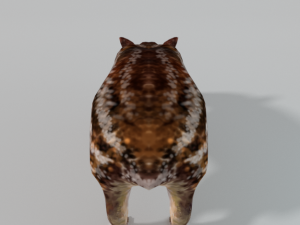 mountain paca - guagua 3D 모델