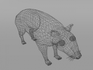 mountain paca - guagua 3D 모델