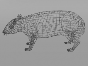 mountain paca - guagua 3D 모델