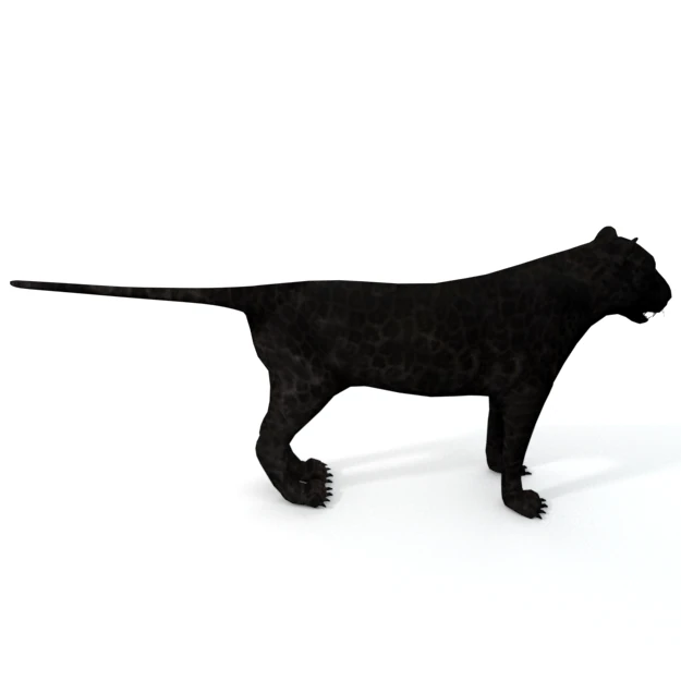 black panther 3D Model .c4d .max .obj .3ds .fbx .stl .blend 