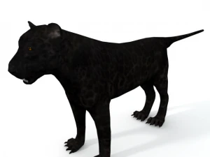 black panther 3D Model