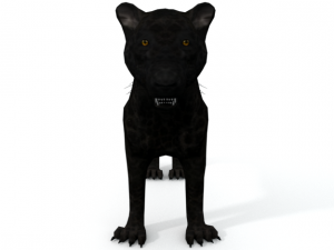 black panther 3Dモデル