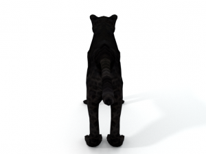 black panther 3Dモデル