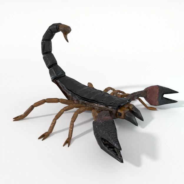 scorpion 3D Model .c4d .max .obj .3ds .fbx .stl .blend 