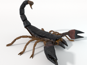scorpion 3D-Modell