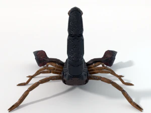 scorpion 3D Model