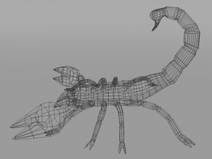 scorpion 3D Model