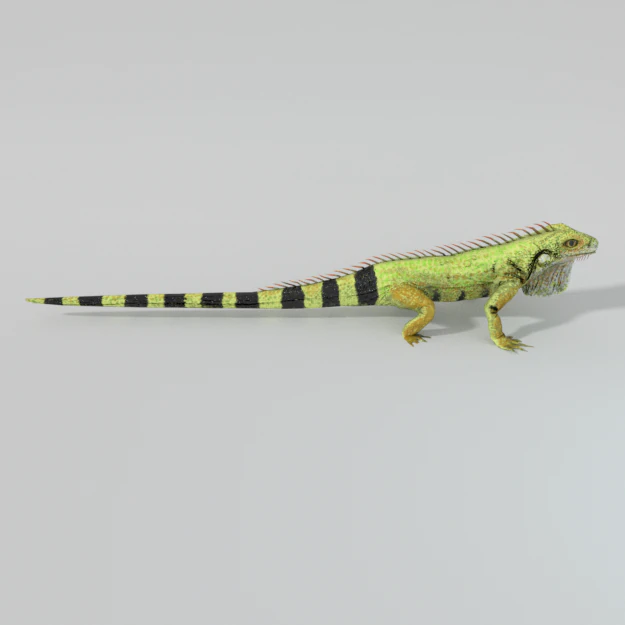 iguana 3D Model .c4d .max .obj .3ds .fbx .stl .blend 