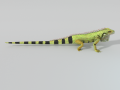 Iguana 3D-Modell