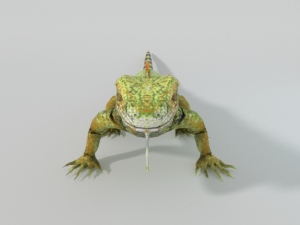 iguana 3D 模型