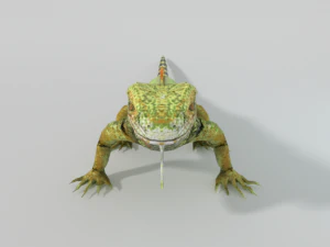 iguana 3D Model