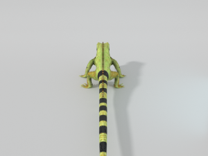 iguana 3D 模型