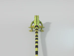 iguana 3D Model