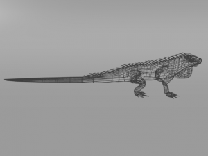 iguana 3D 模型