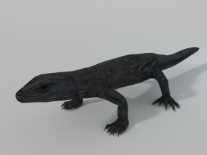 komodo dragon 3D Model
