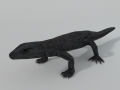 Komodo Dragon 3D-Modell