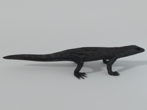 komodo dragon 3D Модель
