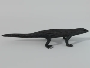 komodo dragon 3D Model