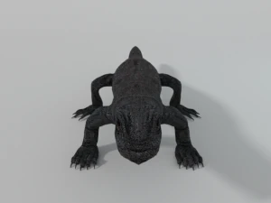 komodo dragon 3D Model