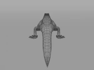 komodo dragon 3D Model