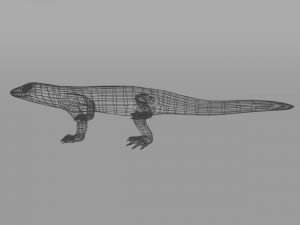 komodo dragon 3D Модель